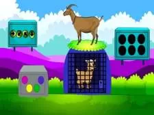 Lamb Escape